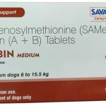 Lisybin Medium