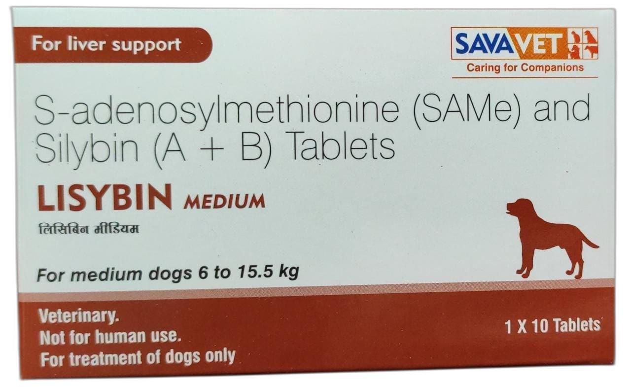Lisybin Medium